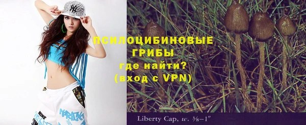 молекула духа Корсаков