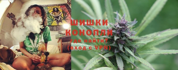 шишки Кинешма