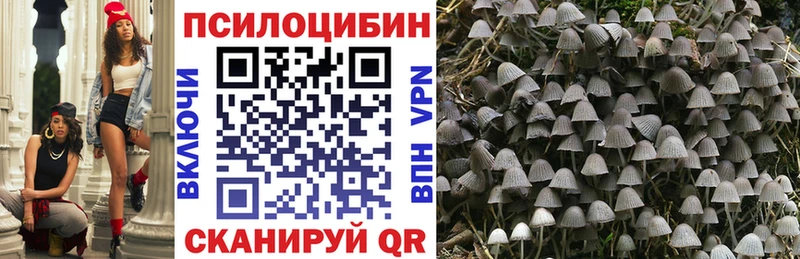 Галлюциногенные грибы мицелий  Костерёво 
